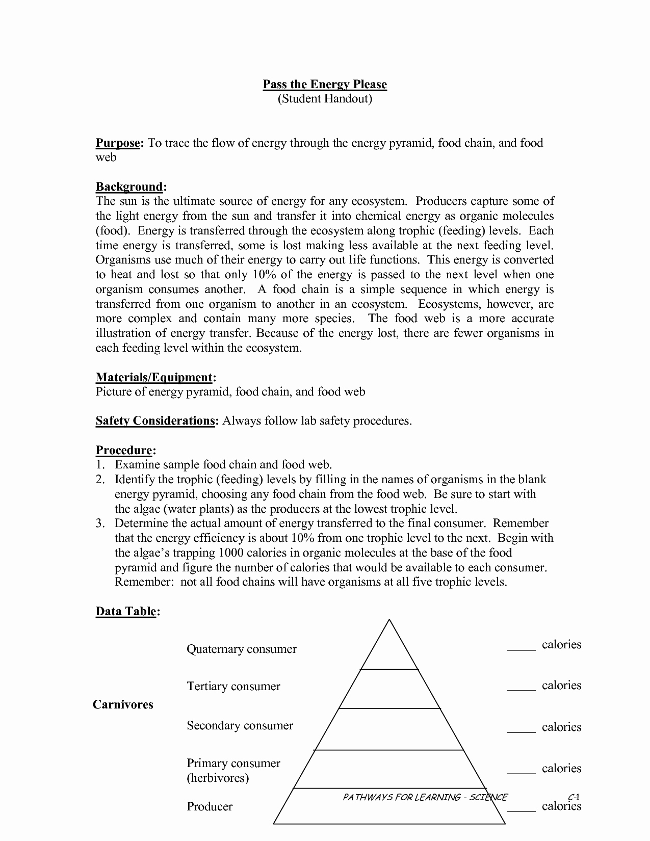 50 Energy Flow Worksheet Answers