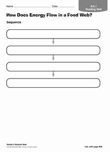 Energy Flow Worksheet Answers Elegant How Does Energy Flow In A Food Web 3rd 5th Grade