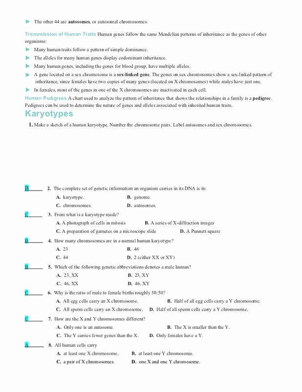 Energy Transformation Worksheet Answer Key New Taxonomy Worksheet