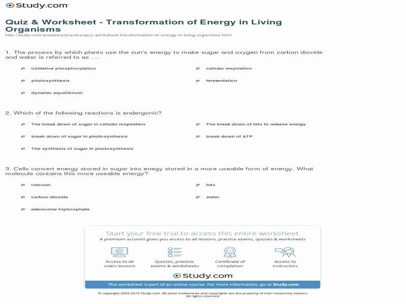 Energy Transformation Worksheet Answers Awesome Energy Transformation Worksheet Answers