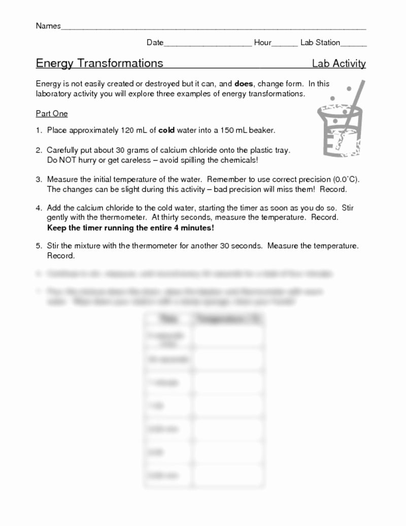 Energy Transformation Worksheet Middle School Elegant Energy Transfer In Living organisms Worksheet