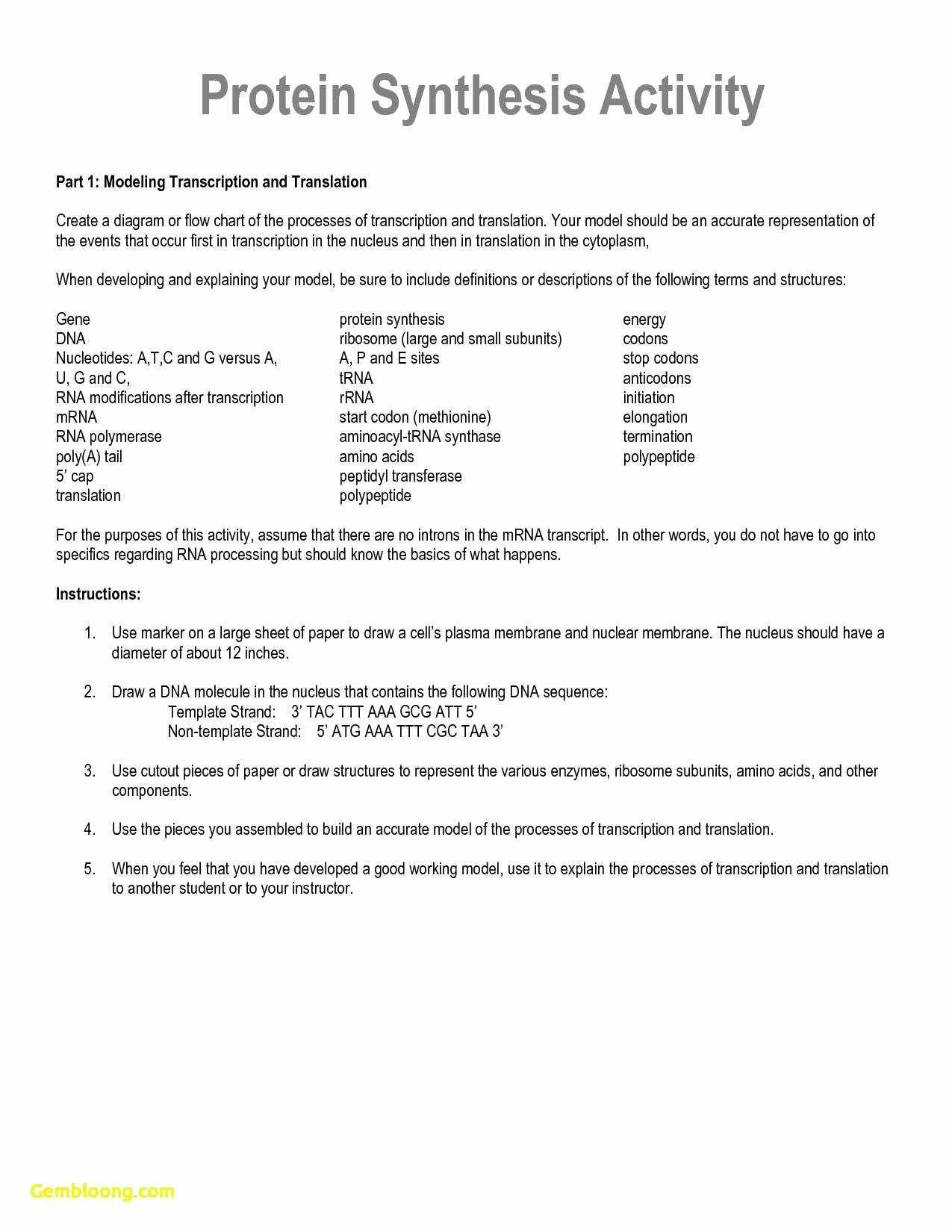 Enzyme Reactions Worksheet Answer Key Awesome Enzyme Reactions Worksheet Answer Key Cramerforcongress
