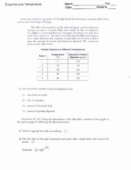 Enzyme Reactions Worksheet Answer Key Best Of Enzyme &amp; Temperature Activity Worksheet by Lesson Universe