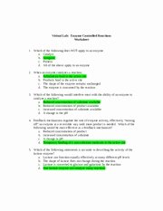 Enzyme Reactions Worksheet Answer Key Best Of Virtual Lab Enzyme Controlled Reactions Worksheet