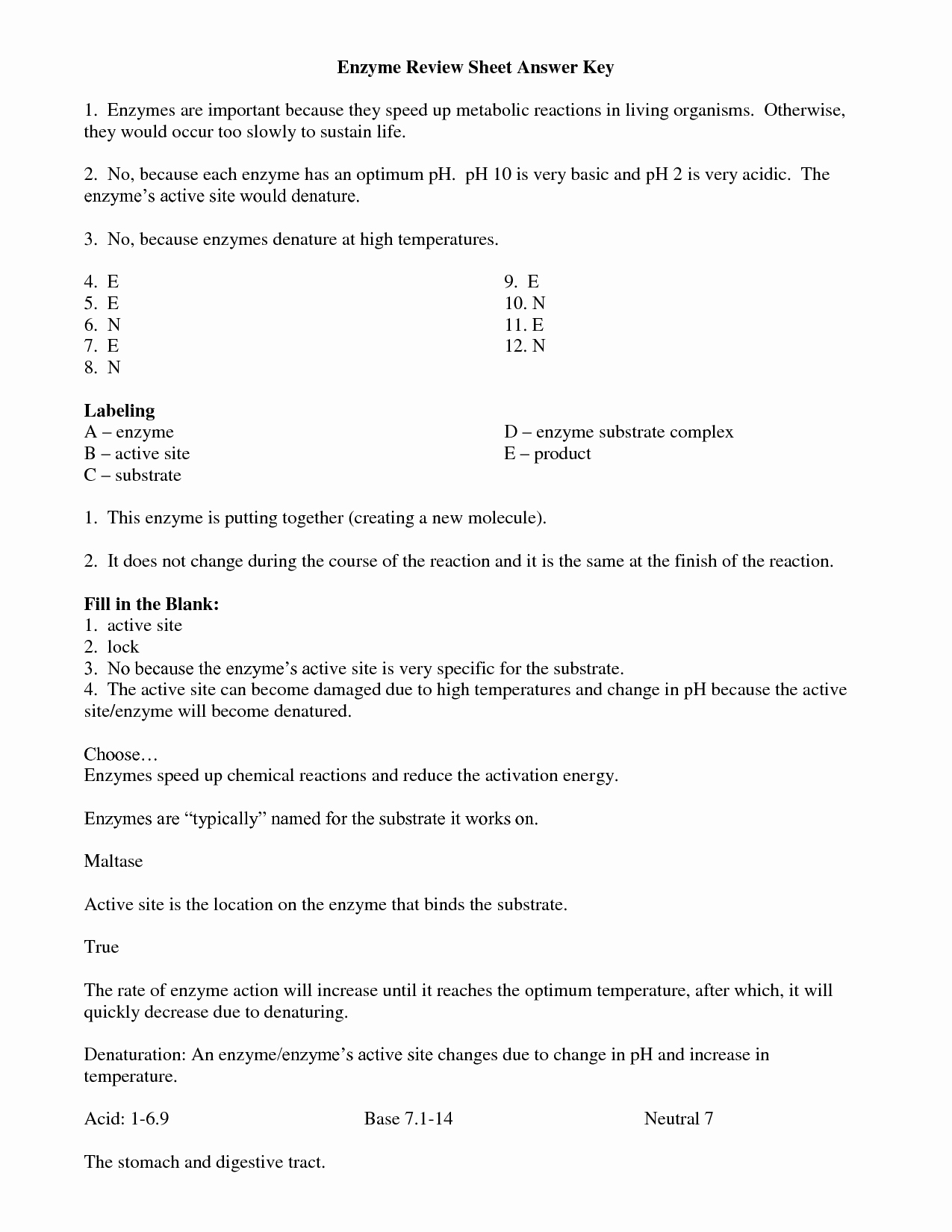 Enzyme Reactions Worksheet Answer Key Fresh 13 Best Of Enzymes Worksheet Review Answer Key