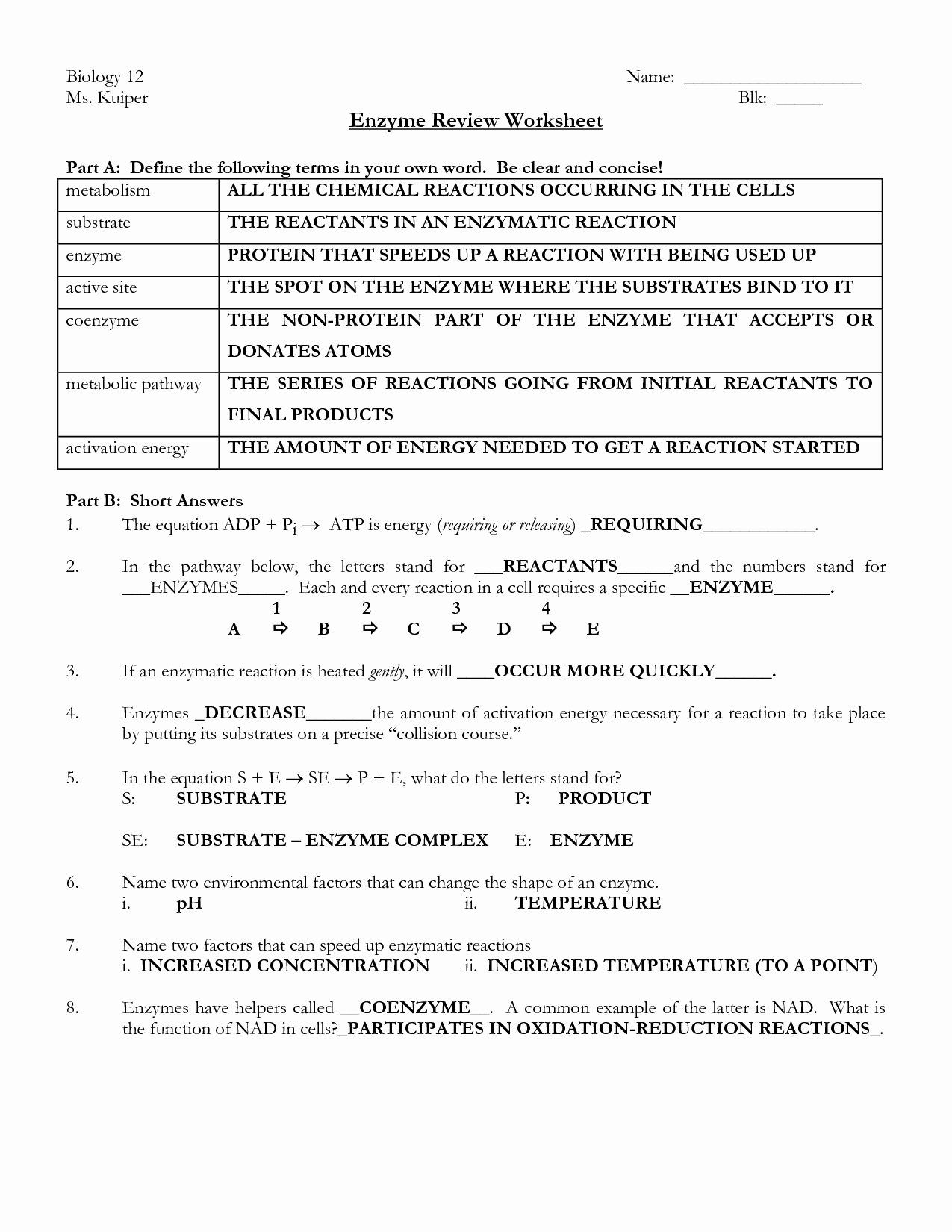 Enzymes Worksheet Answer Key