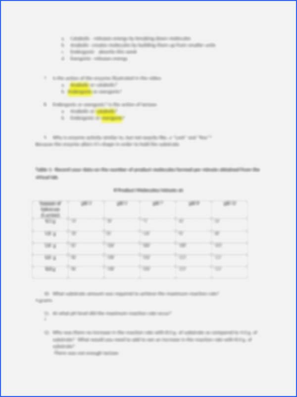Enzyme Reactions Worksheet Answers Beautiful Enzyme Worksheet Answers