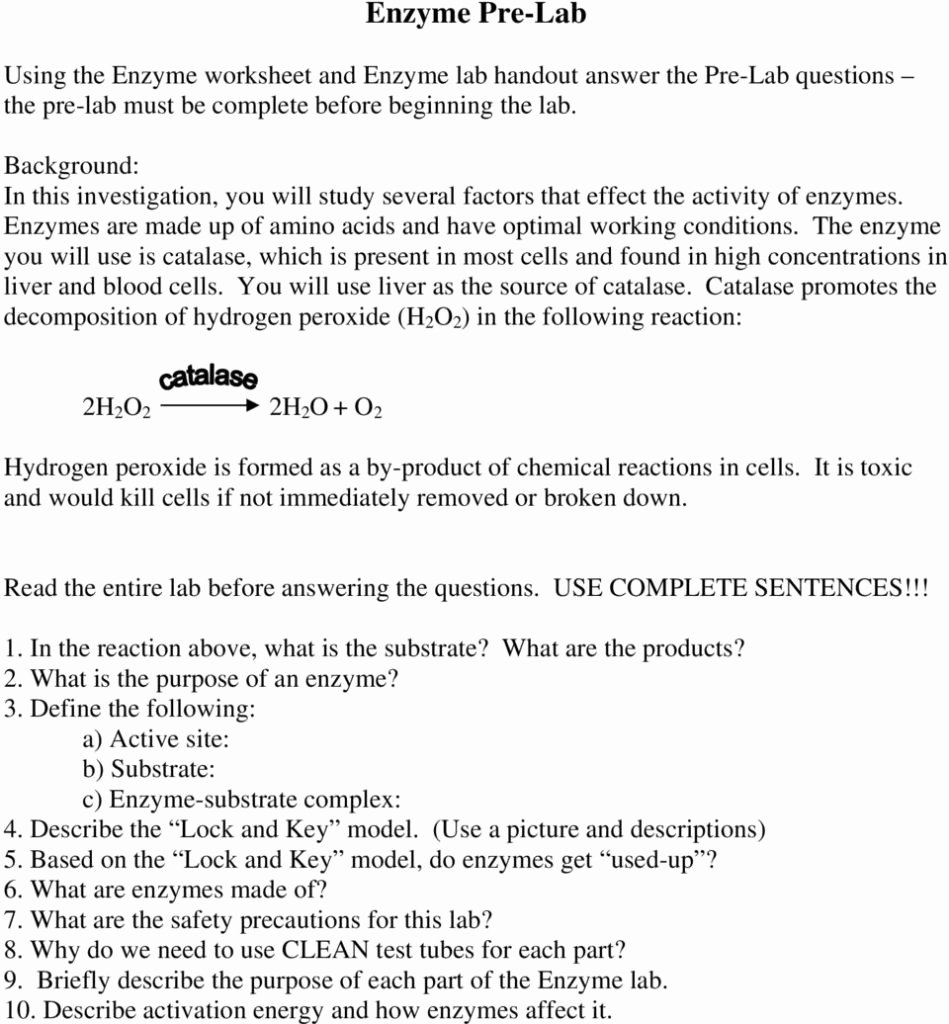 Enzyme Reactions Worksheet Answers Beautiful Enzymes Worksheet Answer Key Math Worksheets Restriction