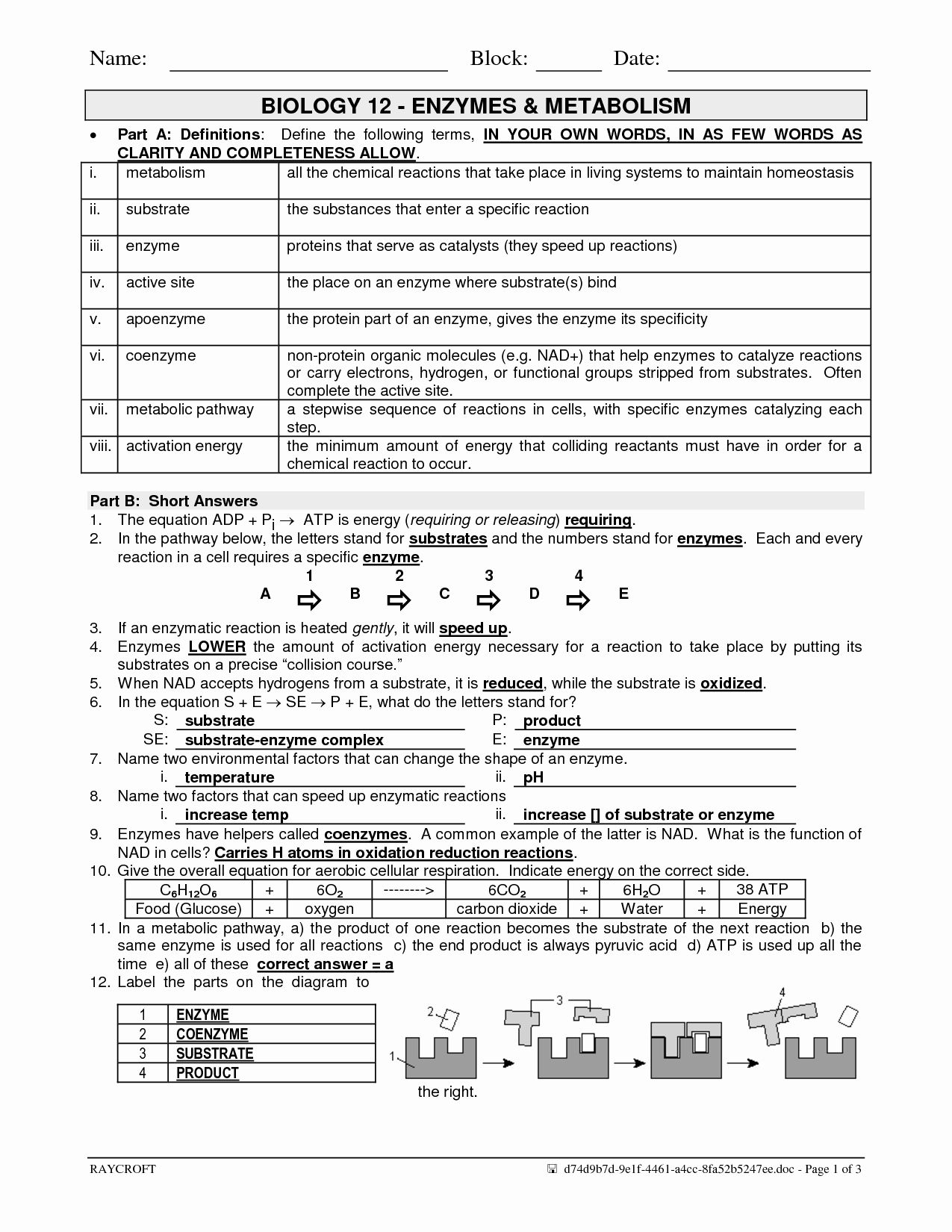Enzyme Reactions Worksheet Answers Fresh 14 Best Of Enzymes Worksheet Answer Key Enzymes