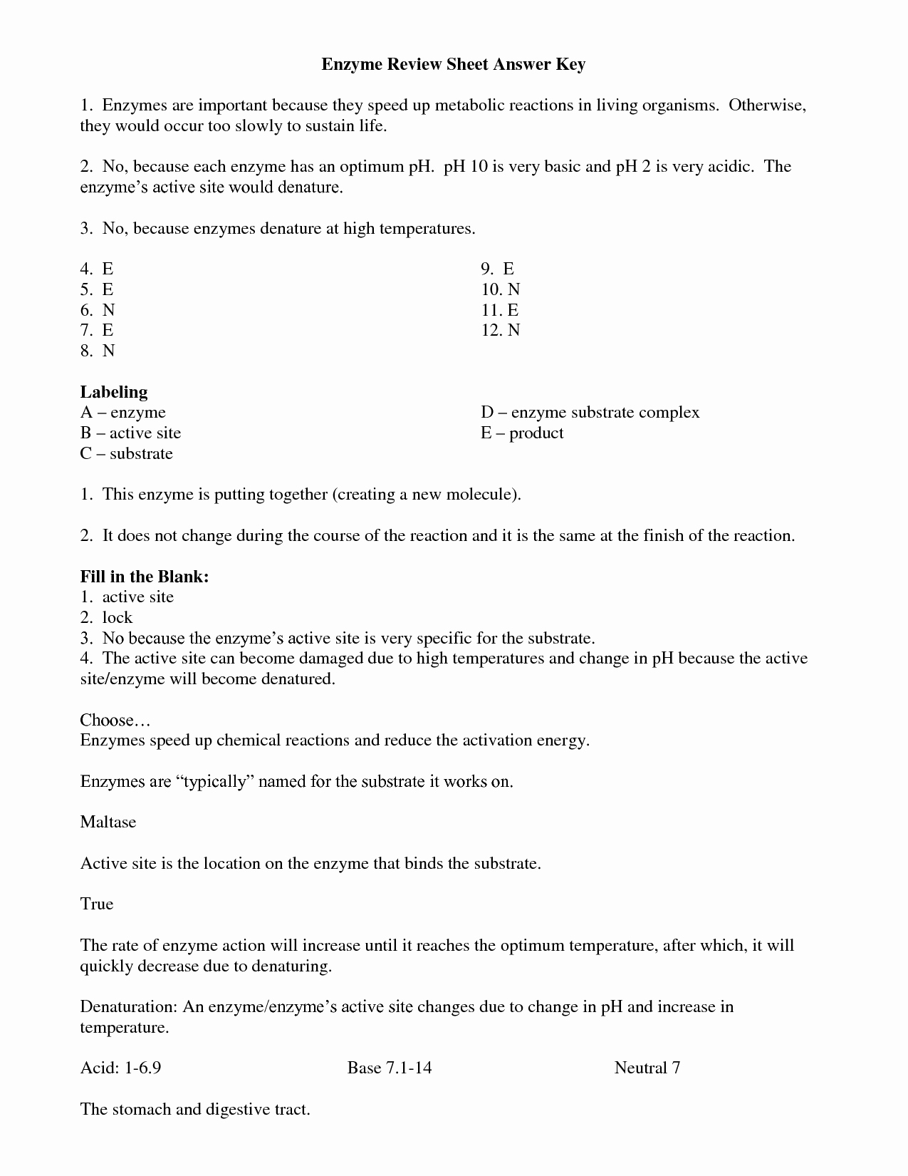 Enzyme Reactions Worksheet Answers Lovely 13 Best Of Enzymes Worksheet Review Answer Key