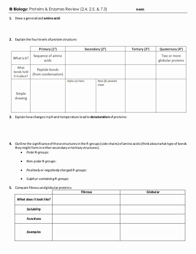 Enzyme Review Worksheet Answers Awesome Ib Proteins &amp; Enzymes Review 2 4 2 5 7 3