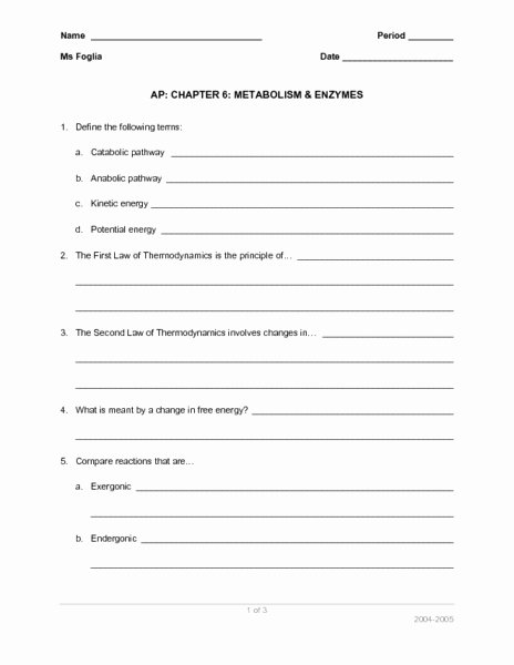 Enzyme Review Worksheet Answers Awesome Metabolism and Enzymes Worksheet for 9th 12th Grade