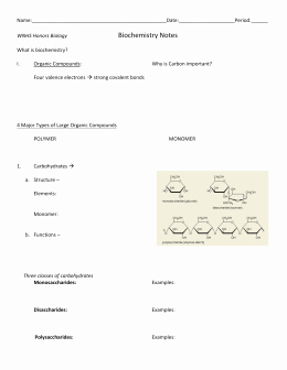 Enzyme Review Worksheet Answers Beautiful Macromolecule and Enzyme Review Worksheet