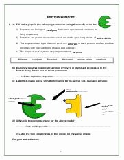 Enzyme Review Worksheet Answers Best Of Enzymes Worksheetcx Enzymes Worksheet 1 A Fill In the