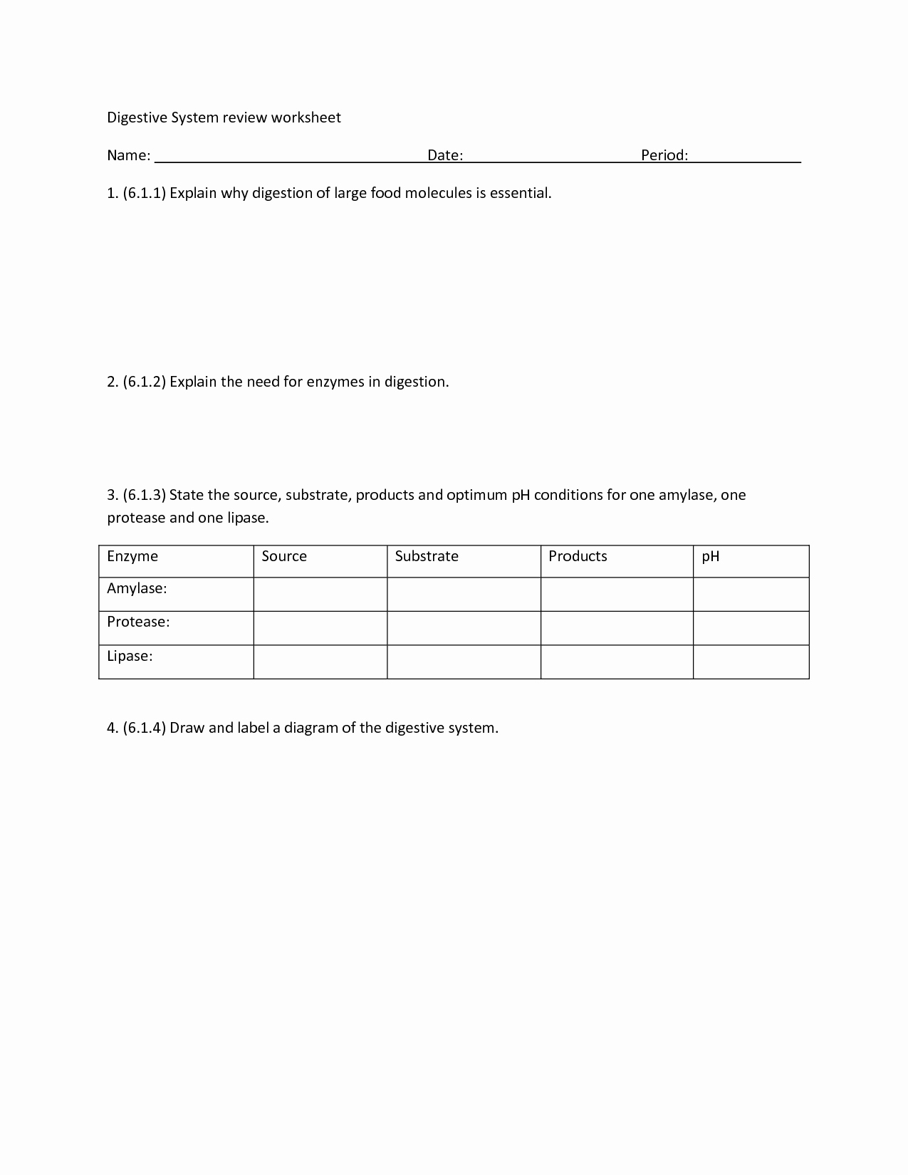 50 Enzyme Review Worksheet Answers