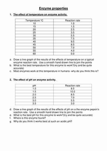 Enzyme Review Worksheet Answers Lovely Factors Affecting Enzyme Rate Of Reaction by Clarajean