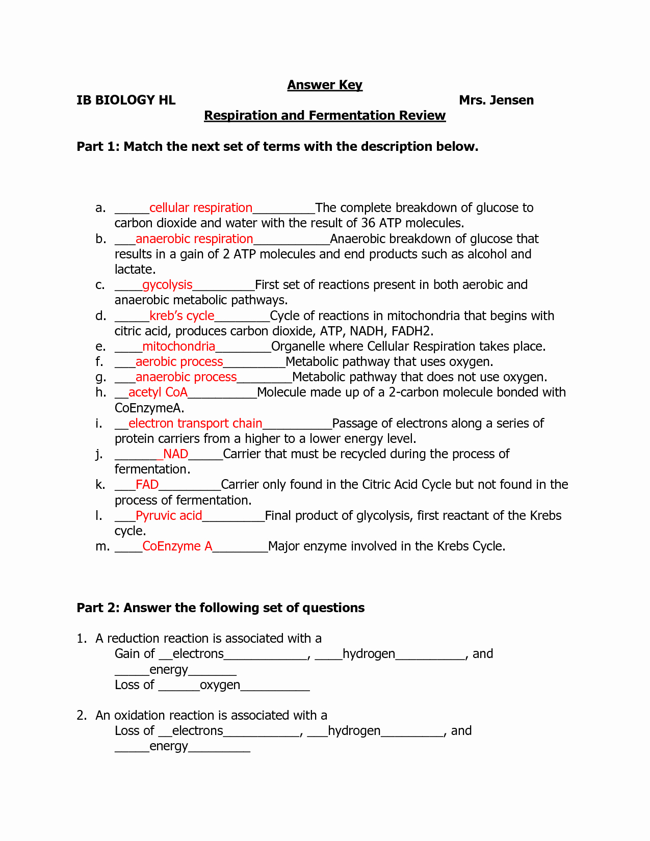 Enzyme Review Worksheet Answers New 14 Best Of Enzymes Worksheet Answer Key Enzymes