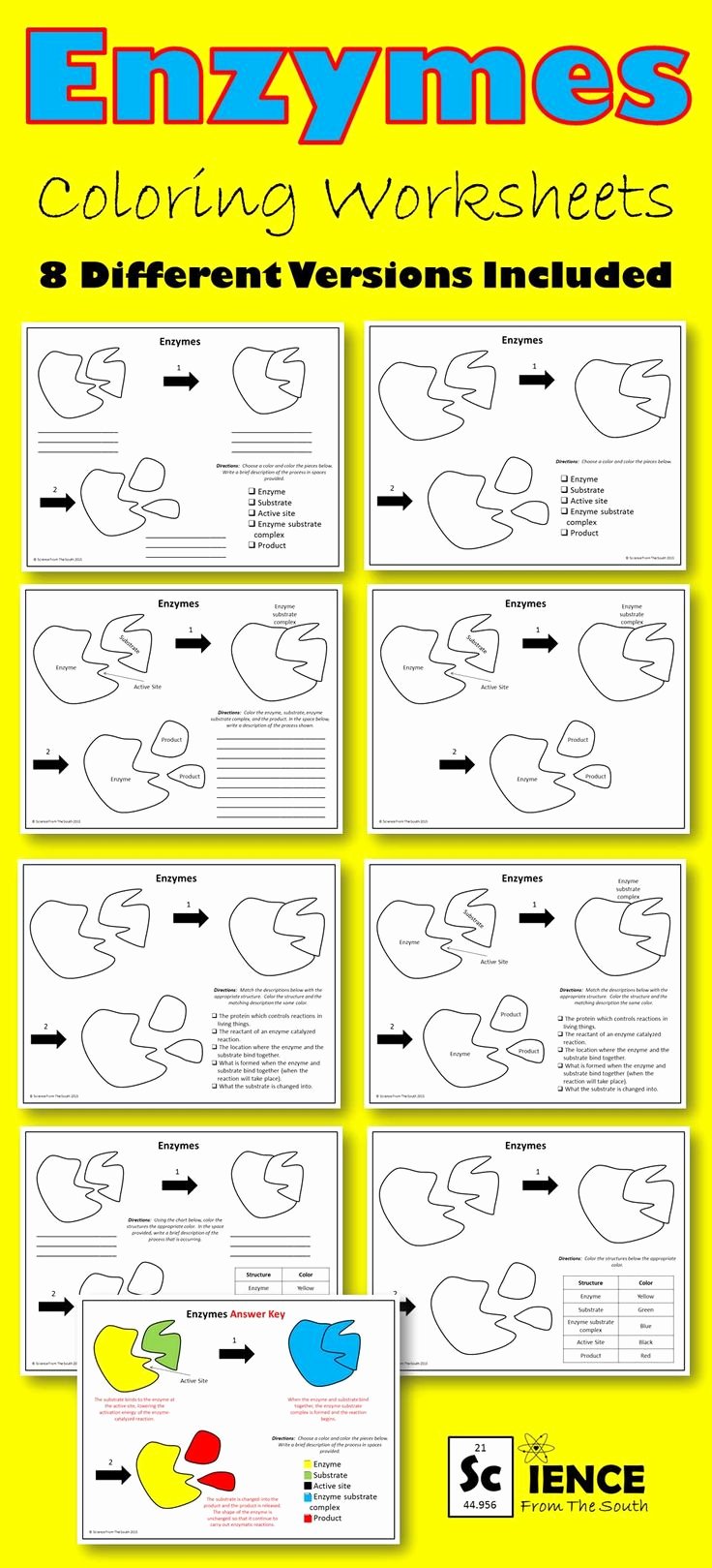 Enzyme Review Worksheet Answers New 51 Best Science From the south Images On Pinterest