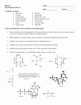 Enzyme Review Worksheet Answers Unique Biomolecules Homework