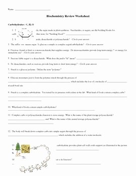 Enzyme Review Worksheet Answers Unique This 3 Page Worksheet Has Detailed Questions which Review