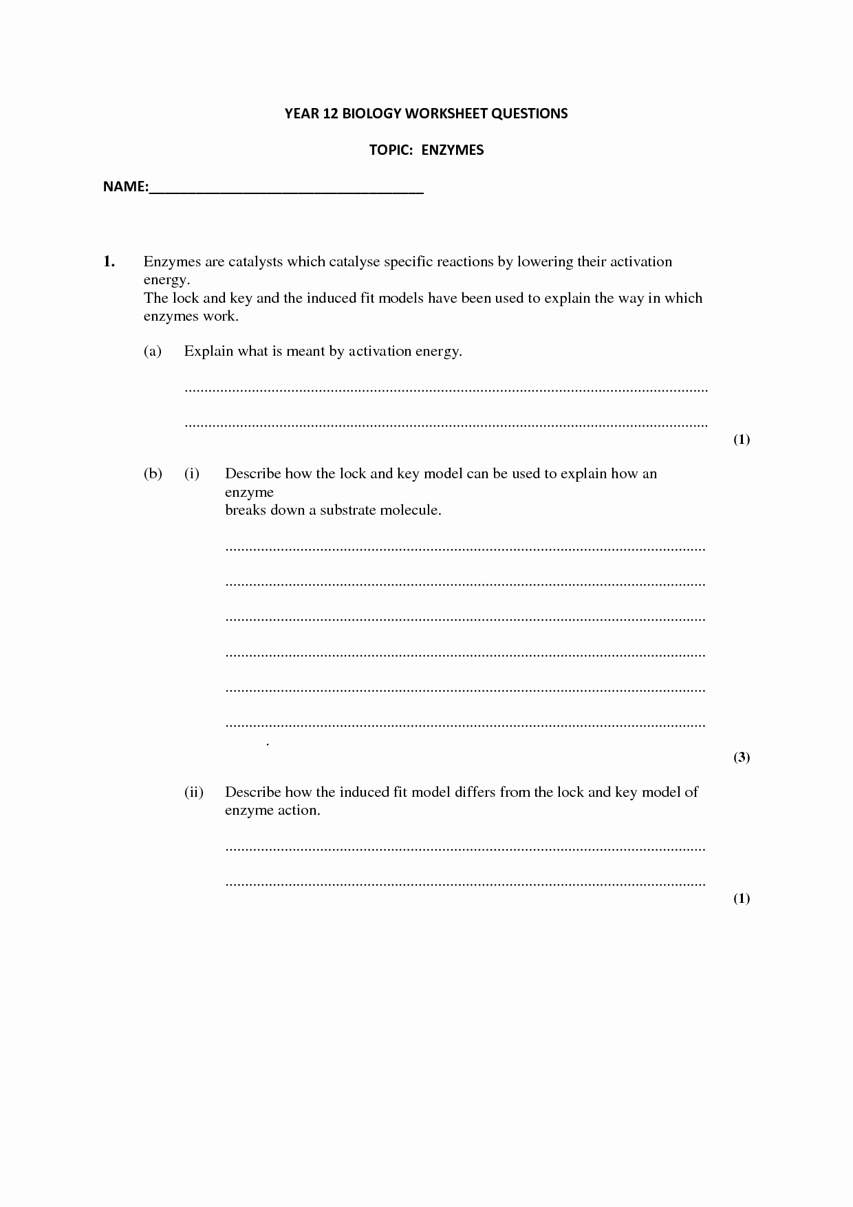Enzymes Worksheet Answer Key Beautiful 20 Best Of Enzymes and Chemical Reactions Worksheet