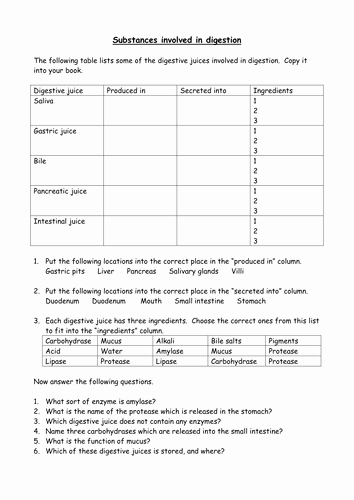 Enzymes Worksheet Answer Key Beautiful Enzymes Worksheet by Cazzie123 Teaching Resources Tes