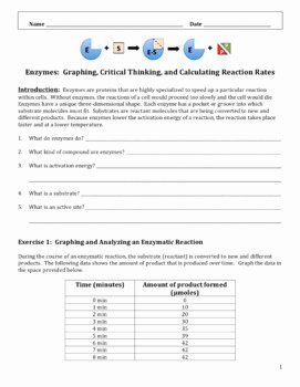 Enzymes Worksheet Answer Key Best Of Enzymes Graphing and Critical Thinking Problem solving