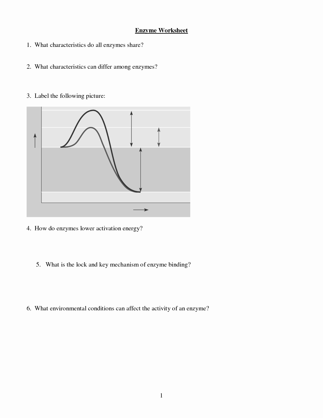 Enzymes Worksheet Answer Key New 12 Best Of Enzyme Graph Worksheet Enzymes
