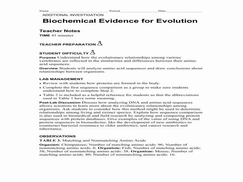 Evidence for Evolution Worksheet Answers Fresh Evidence Evolution Worksheet