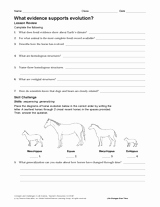 Evidence for Evolution Worksheet Answers Unique What Evidence Supports Evolution Teachervision