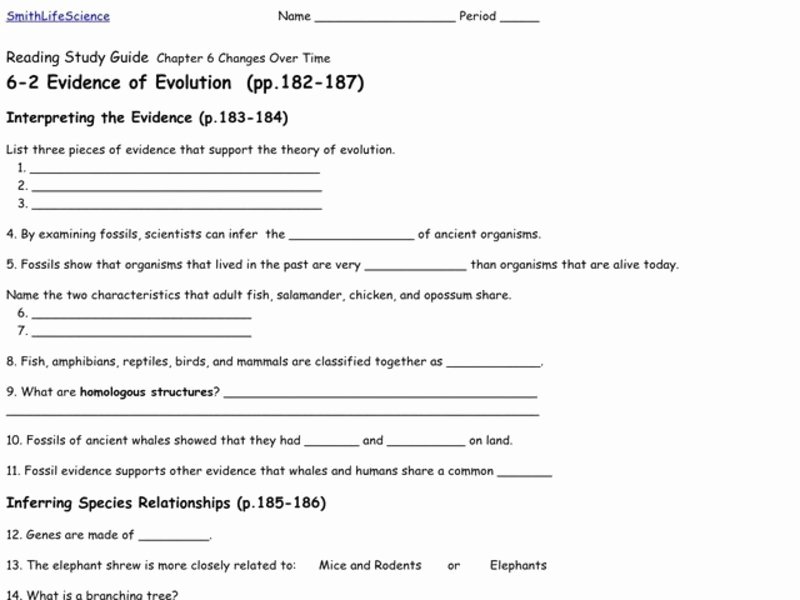 50 Evidence Of Evolution Worksheet Answers