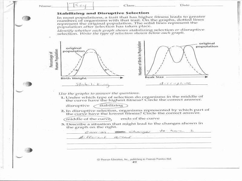 Evidence Of Evolution Worksheet Answers New Evidence Evolution Worksheet