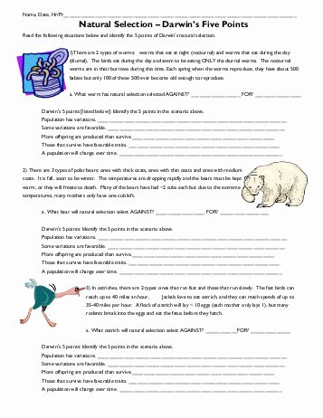 Evolution and Natural Selection Worksheet Beautiful Evolution by Natural Selection Worksheet Evolution by
