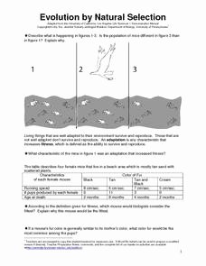 Evolution and Natural Selection Worksheet Inspirational Evolution by Natural Selection 6th 9th Grade Worksheet