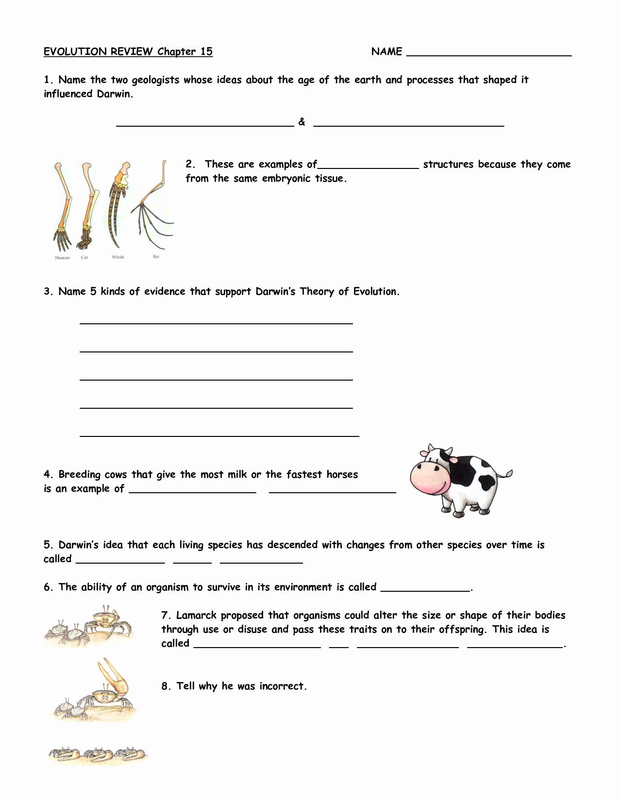 Evolution and Natural Selection Worksheet Luxury Darwin S theory Of Evolution Worksheet