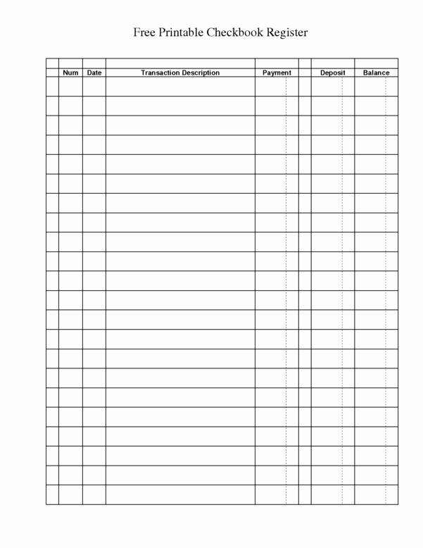 Excel Checkbook Register Budget Worksheet Lovely Excel Bank Account Template Accounting Spreadsheet