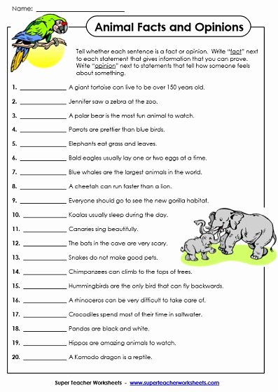 Fact or Opinion Worksheet Beautiful Fact and Opinion Worksheets