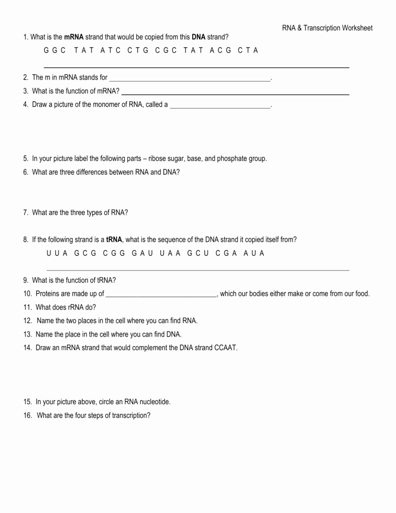 50 Fed Up Worksheet Answer Key