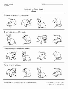 Following Directions Worksheet Trick Lovely Following Directions Worksheet for Pre K 1st Grade