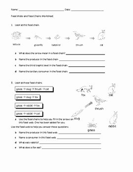 Food Chain Worksheet Answers Awesome Food Webs and Food Chains Worksheet by Family 2 Family
