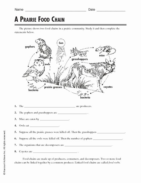 Food Chain Worksheet Answers Beautiful Food Web Worksheet with Questions Canadian Quarter Coin