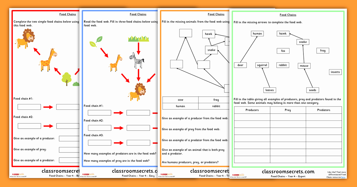 Food Chain Worksheet Answers Beautiful Year 4 Food Chains and Food Webs Science Worksheets