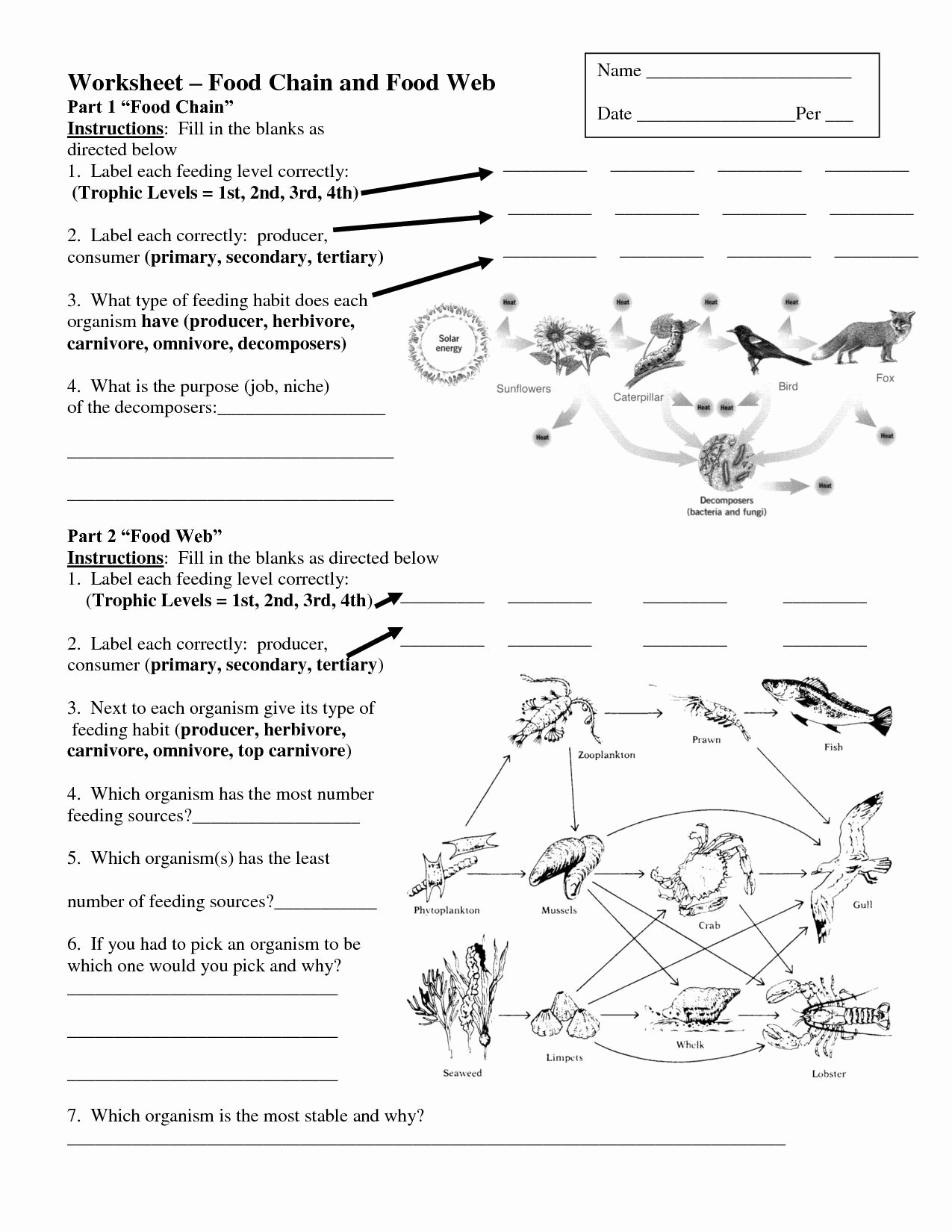 Food Chain Worksheet Answers Fresh Worksheets Food Chains and Food Webs Science