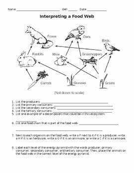 Food Chain Worksheet Pdf Fresh Interpreting A Food Web Worksheet by Must Teach Middle