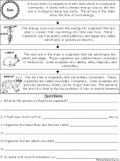 Food Chain Worksheet Pdf Unique Food Chain Enchantedlearning