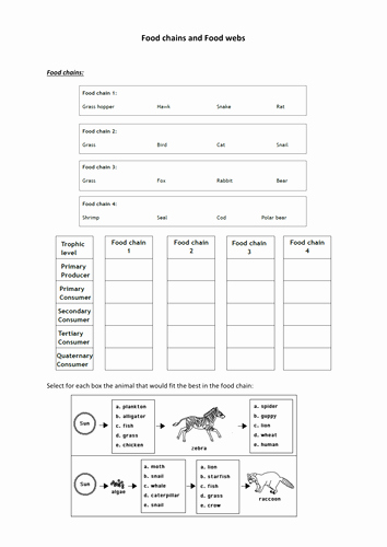 Food Chains and Webs Worksheet Awesome Food Chains and Food Webs by Ameliepira Teaching