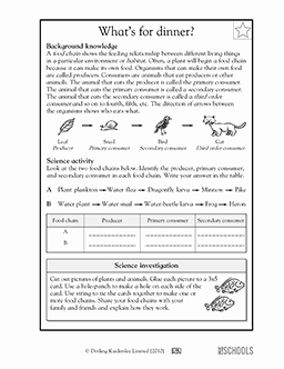 Food Chains and Webs Worksheet Beautiful 5th Grade Science Worksheets Parts Of the Food Chain