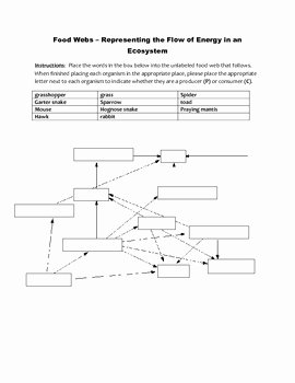 Food Chains and Webs Worksheet Beautiful Fill In the Food Web Worksheet 2 5 9 by Educator