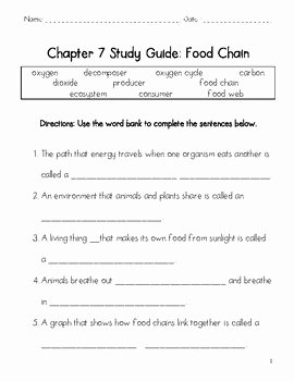 Food Chains and Webs Worksheet Fresh Food Chain Worksheet by Shana Keane