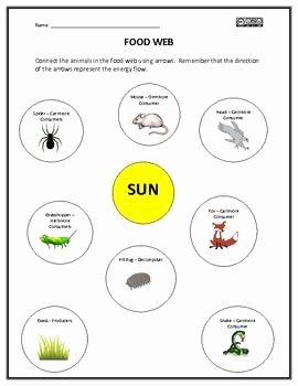 Food Chains and Webs Worksheet Lovely Pinterest • the World’s Catalog Of Ideas